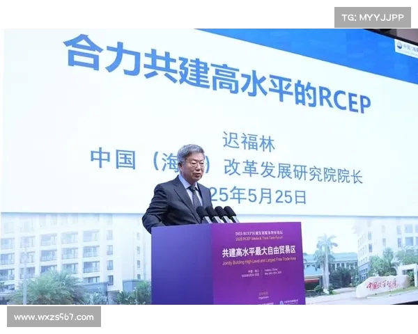 共建高水平自由贸易区助力亚太经济一体化进程 共建高水平自由贸易区助力亚太经济一体化进程